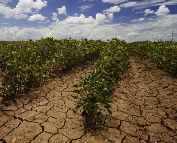 Drought in California